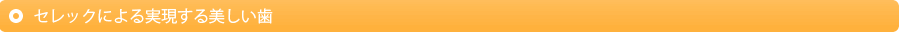 セレックによる実現する美しい歯