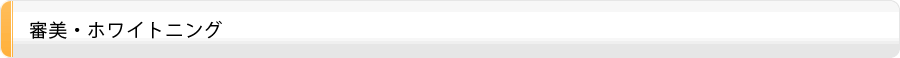 審美・ホワイトニング