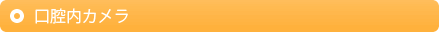 口腔内カメラ