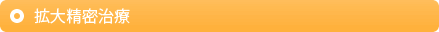 拡大精密治療